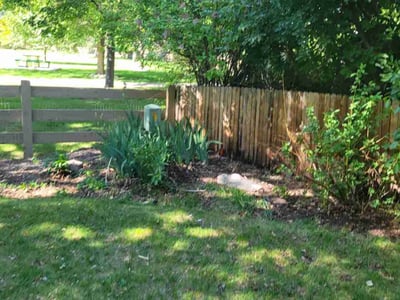 Lawn care service in Erie, 80516