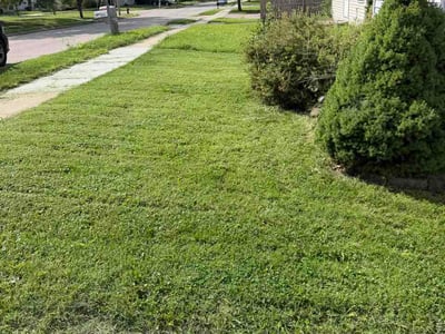 Lawn care service in Holt, 48842
