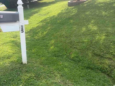 Lawn care service in Stafford, 22554