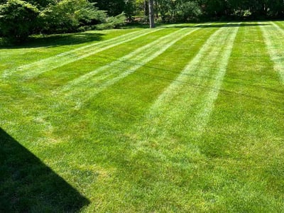 Lawn care service in West Hartford, 06107
