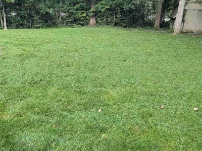 Lawn care service in Greenfield, 46140