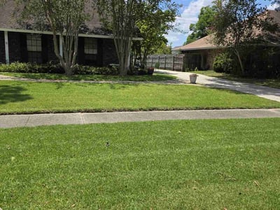 Lawn care service in Baton Rouge, 70816