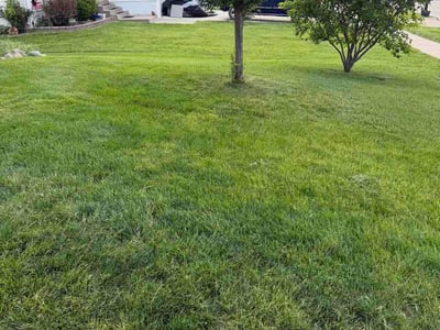 Lawn care service in Waukee, 50263