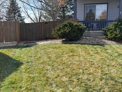 Lawn care service in Broomfield, 80020