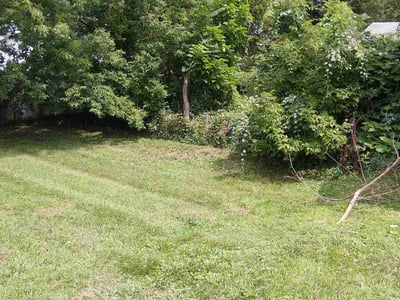 Lawn care service in Rotterdam, 12306