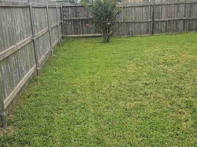 Lawn care service in Temple, 76504