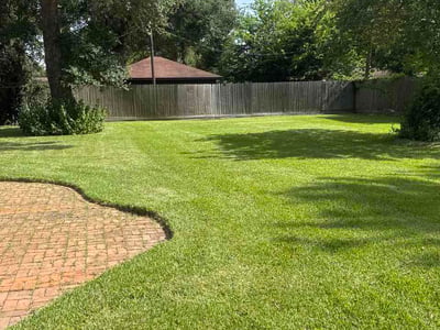 Lawn care service in Lake Jackson, 77566