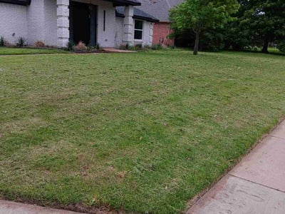 Lawn care service in Dallas, 75252