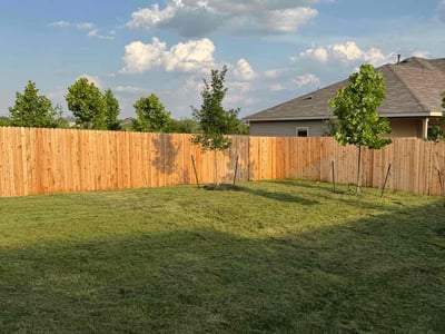 Lawn care service in San Antonio, 78253