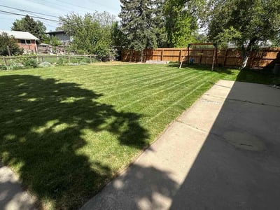 Lawn care service in Centennial, 80121