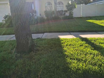 Lawn care service in Riverview, 33579