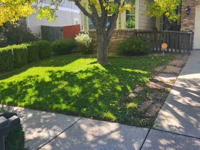 Lawn care service in Colorado Springs, 80922