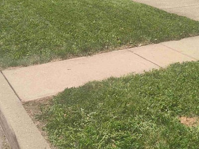 Lawn care service in , 
