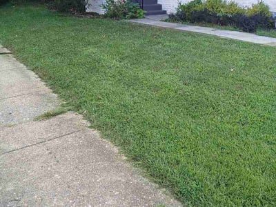 Lawn care service in Arlington, 22204