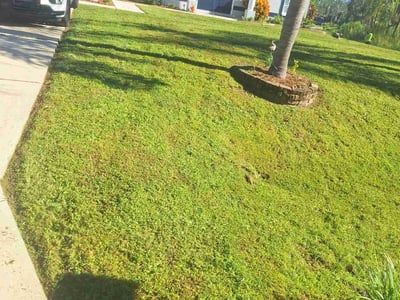 Lawn care service in North Port, 34286
