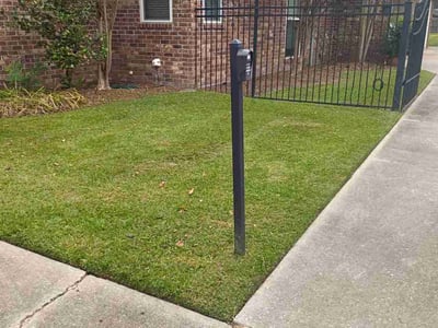 Lawn care service in Prairieville, 70769