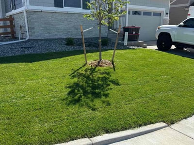 Lawn care service in Thornton, 80602