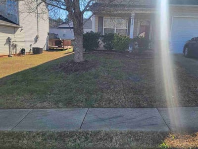Lawn care service in , 