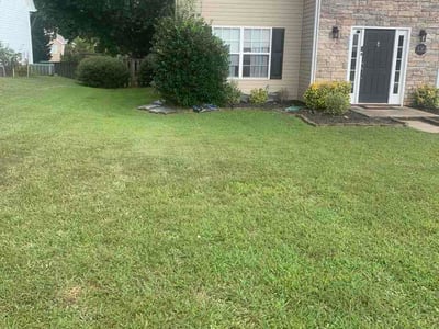 Lawn care service in Lake Wylie, 29710