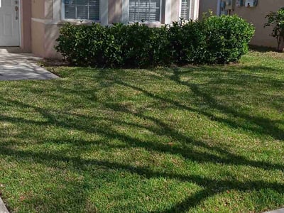 Lawn care service in Tampa, 33614