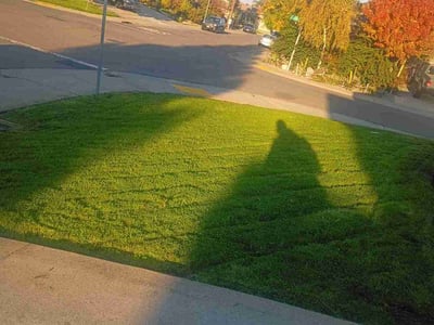 Lawn care service in Sacramento, 95832