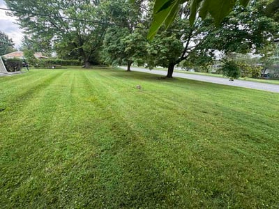 Lawn care service in Edgewood, 21040