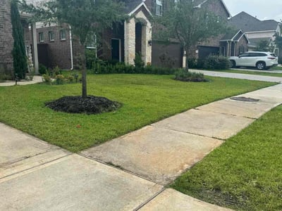 Lawn care service in Katy, 77493