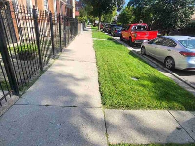 Lawn care service in Chicago, 60651
