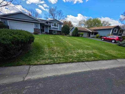 Lawn care service in Maple Grove, 55369