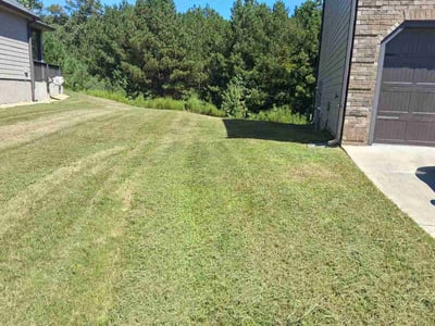 Lawn care service in Loganville, 30052