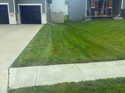 Lawn care service in Omaha, 68136