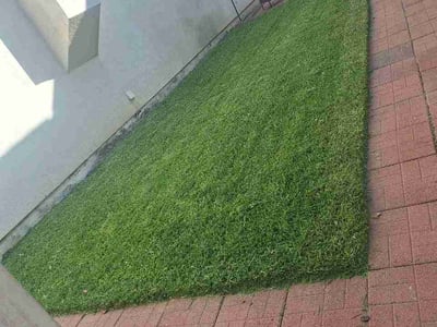 Lawn care service in Simi Valley, 93063