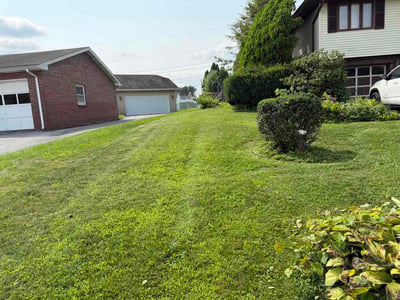 Lawn care service in Easton, 18045