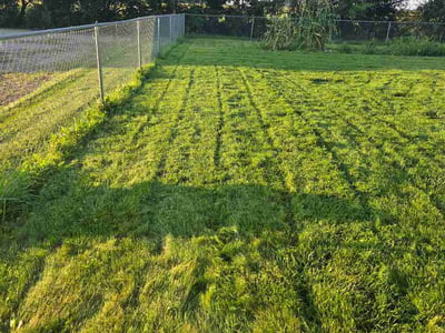 Lawn care service in Bremen, 46506