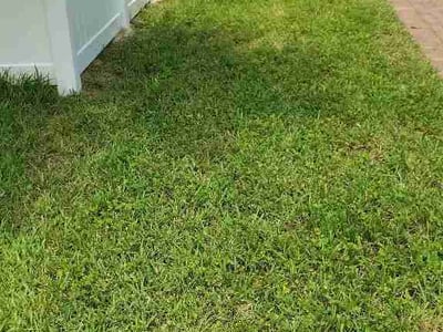 Lawn care service in Orlando, 32832