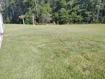 Lawn care service in Little River, 29566