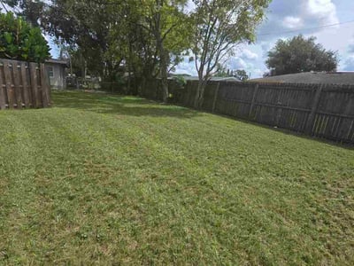 Lawn care service in Winter Park, 32792