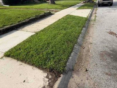 Lawn care service in Griffith, 46319