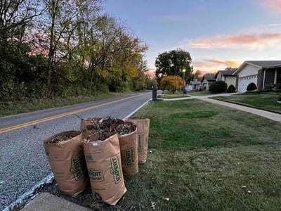 Lawn care service in St. Louis, 63129