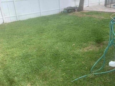 Lawn care service in Tampa, 33615