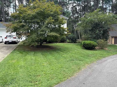 Lawn care service in Cary, 27511