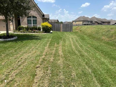 Lawn care service in Pearland, 77584