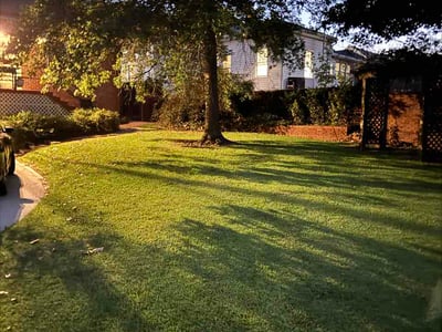 Lawn care service in Newnan, 30263