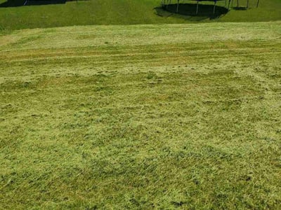 Lawn care service in Waukee, 50263