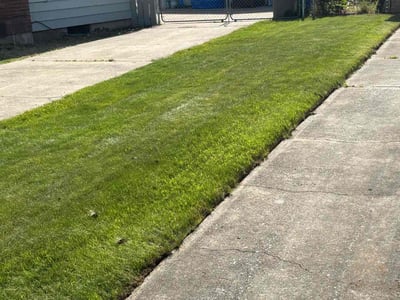 Lawn care service in Spokane Valley, 99206