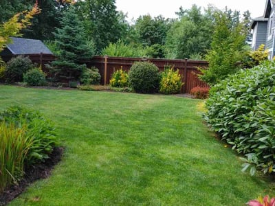 Lawn care service in Bothell, 98011