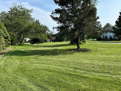 Lawn care service in Newton, 07860