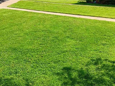 Lawn care service in Rochester, 14624