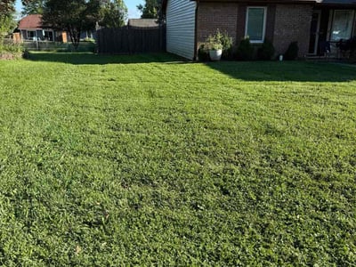Lawn care service in Indianapolis, 46256