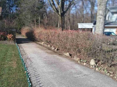 Lawn care service in North Olmsted, 44070